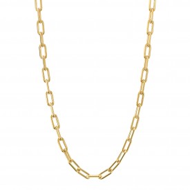 Strieborný náhrdelník Gold plated Link