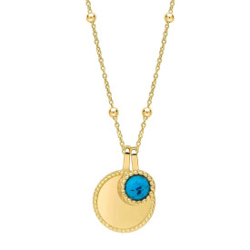 Strieborný náhrdelník Birthstone Gold plated December