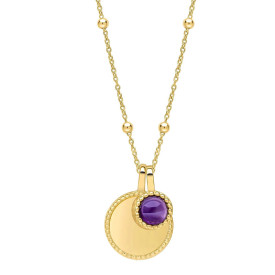 Strieborný náhrdelník Birthstone Gold plated Február