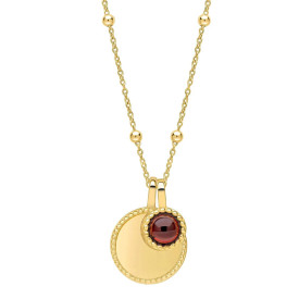 Strieborný náhrdelník Birthstone Gold plated Január