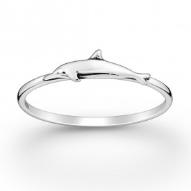 Strieborný prsteň Delfín